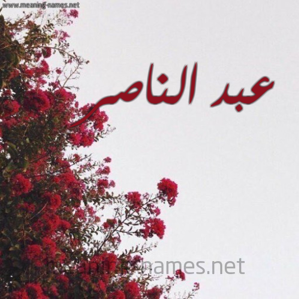 شكل 18 صوره الورد الأحمر للإسم بخط رقعة صورة اسم عبد الناصر Abd-Elnnasser
